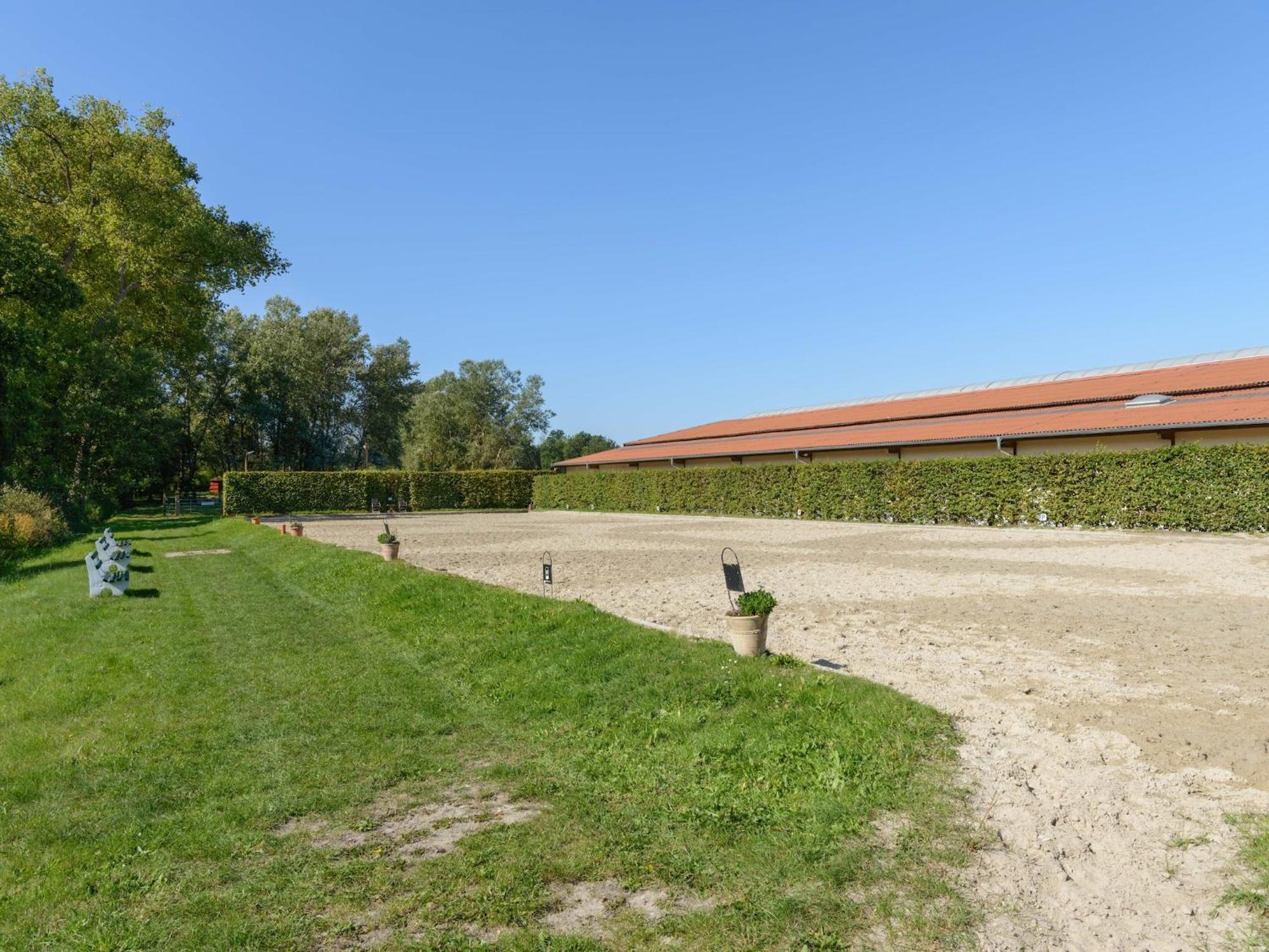 Cozy Holiday Home On A Horse Farm In The L Neburg Heath Eschede Dış mekan fotoğraf