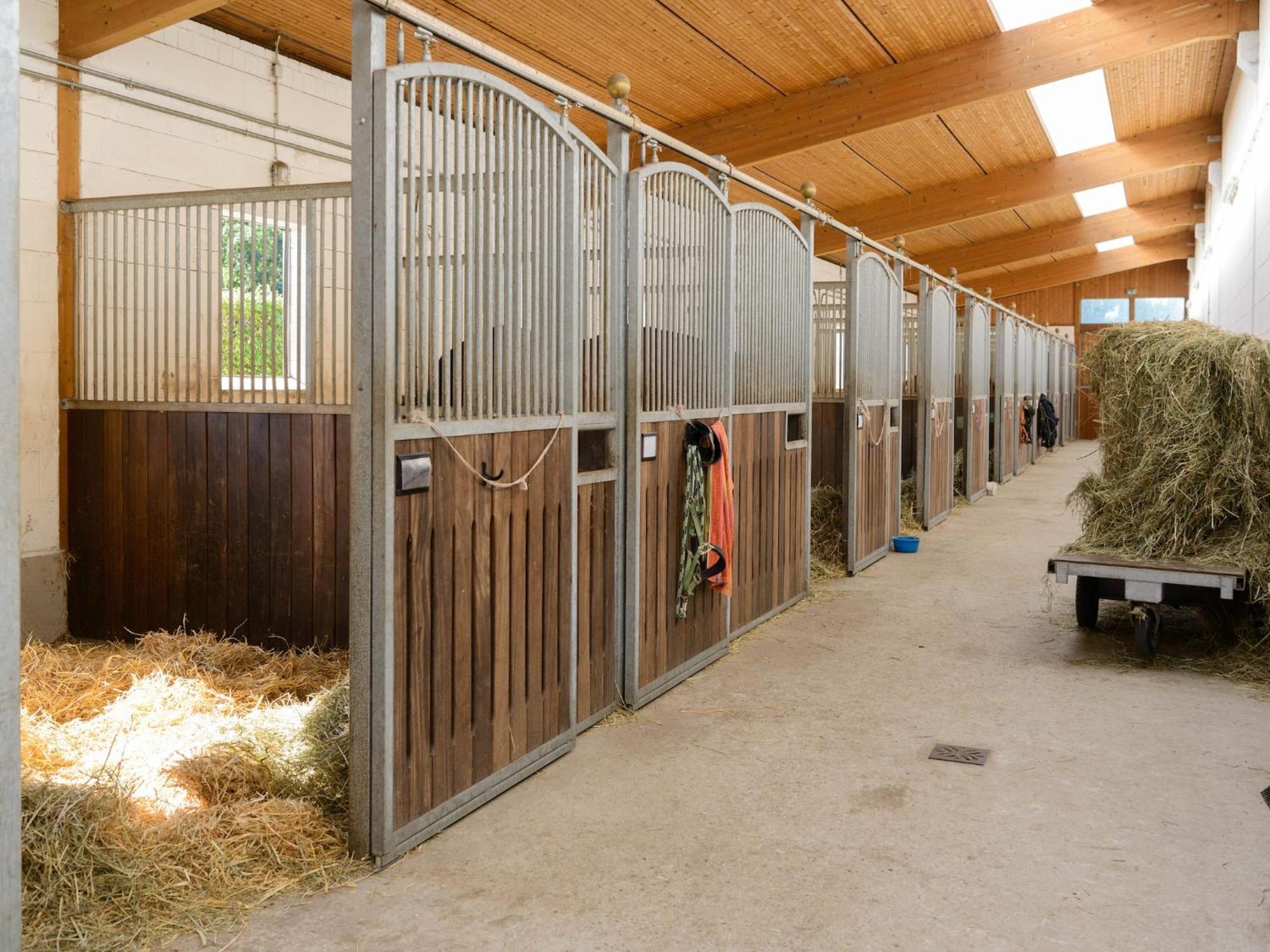 Cozy Holiday Home On A Horse Farm In The L Neburg Heath Eschede Dış mekan fotoğraf