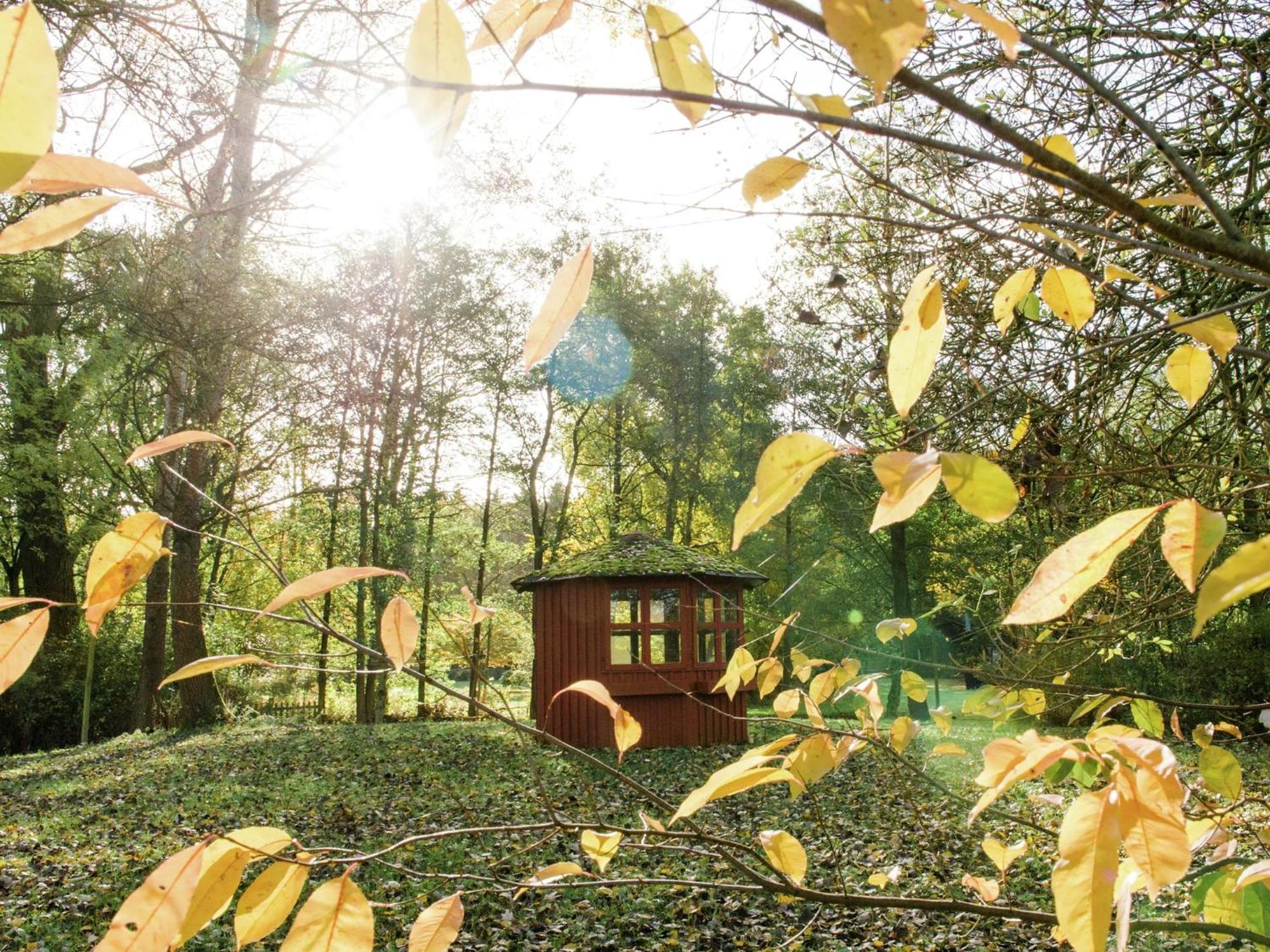 Cozy Holiday Home On A Horse Farm In The L Neburg Heath Eschede Dış mekan fotoğraf