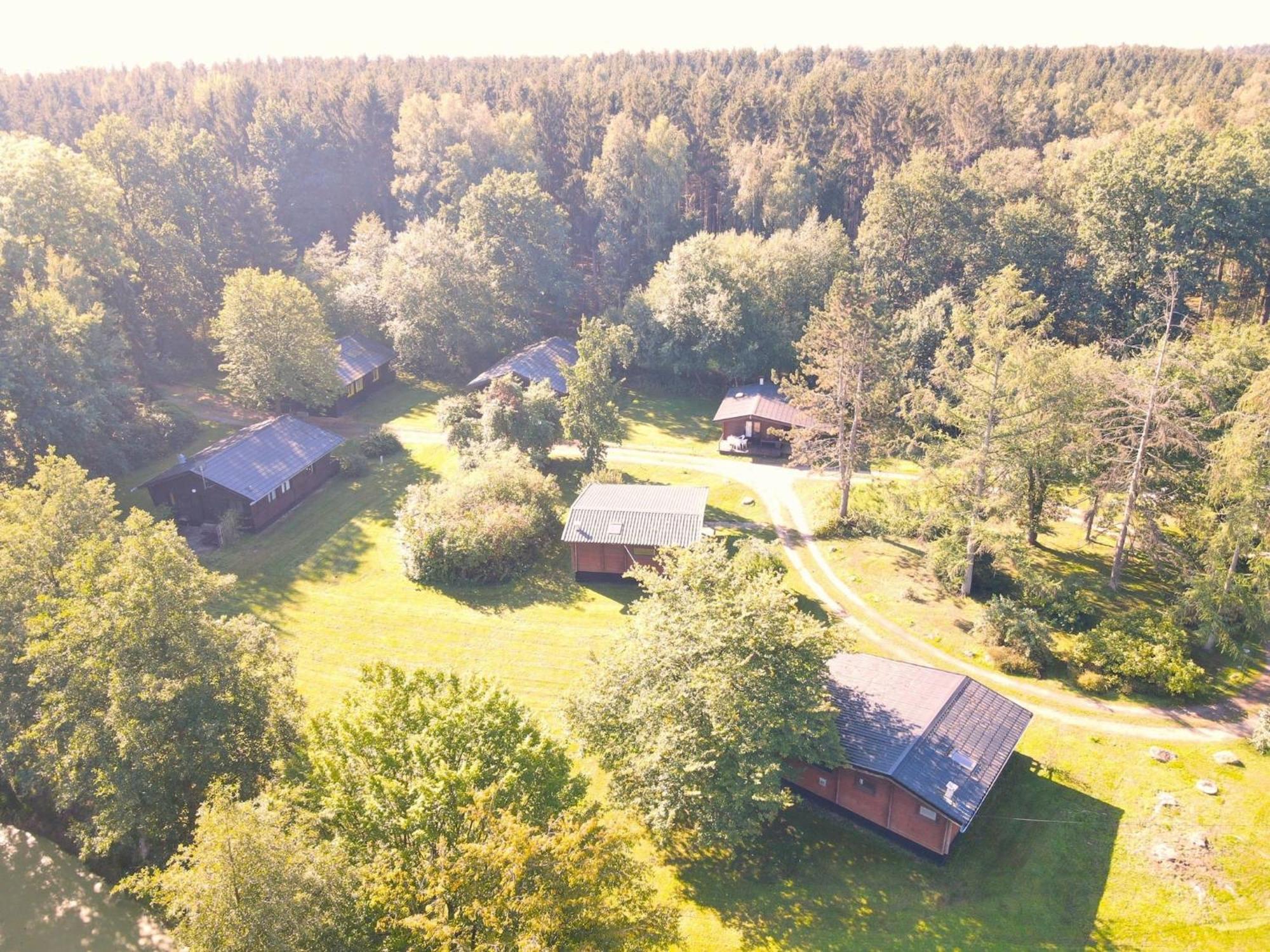 Cozy Holiday Home On A Horse Farm In The L Neburg Heath Eschede Dış mekan fotoğraf