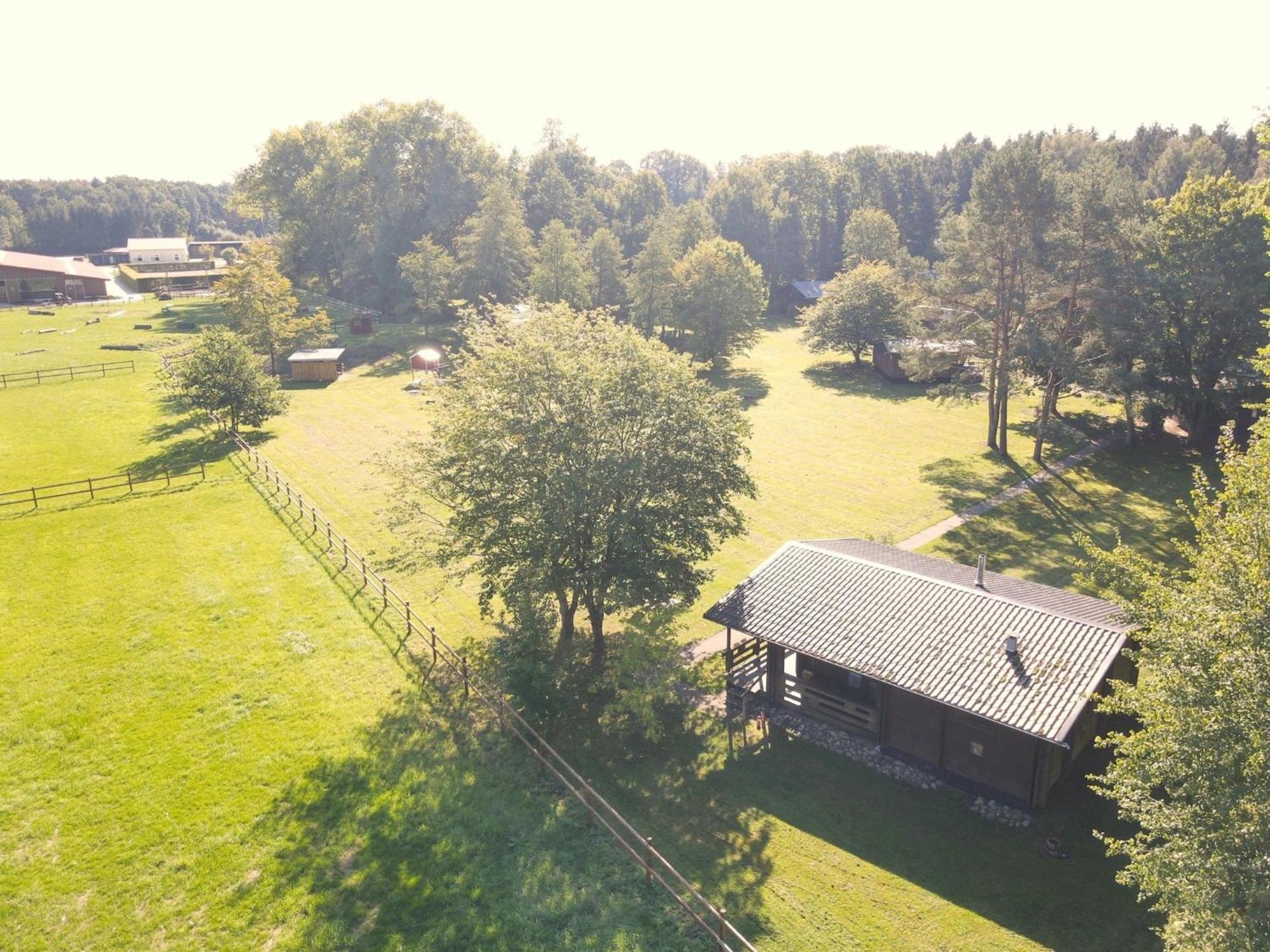 Cozy Holiday Home On A Horse Farm In The L Neburg Heath Eschede Dış mekan fotoğraf