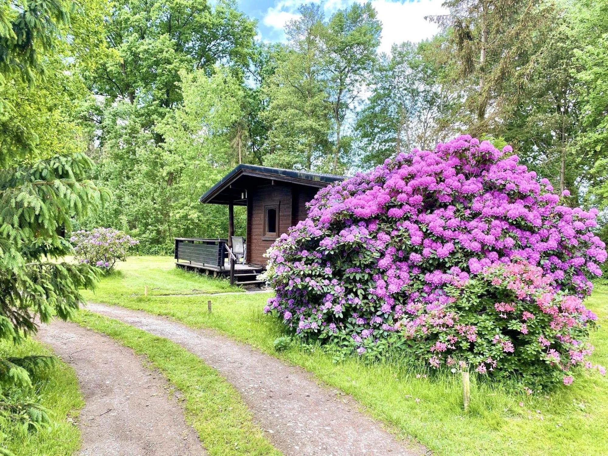 Cozy Holiday Home On A Horse Farm In The L Neburg Heath Eschede Dış mekan fotoğraf