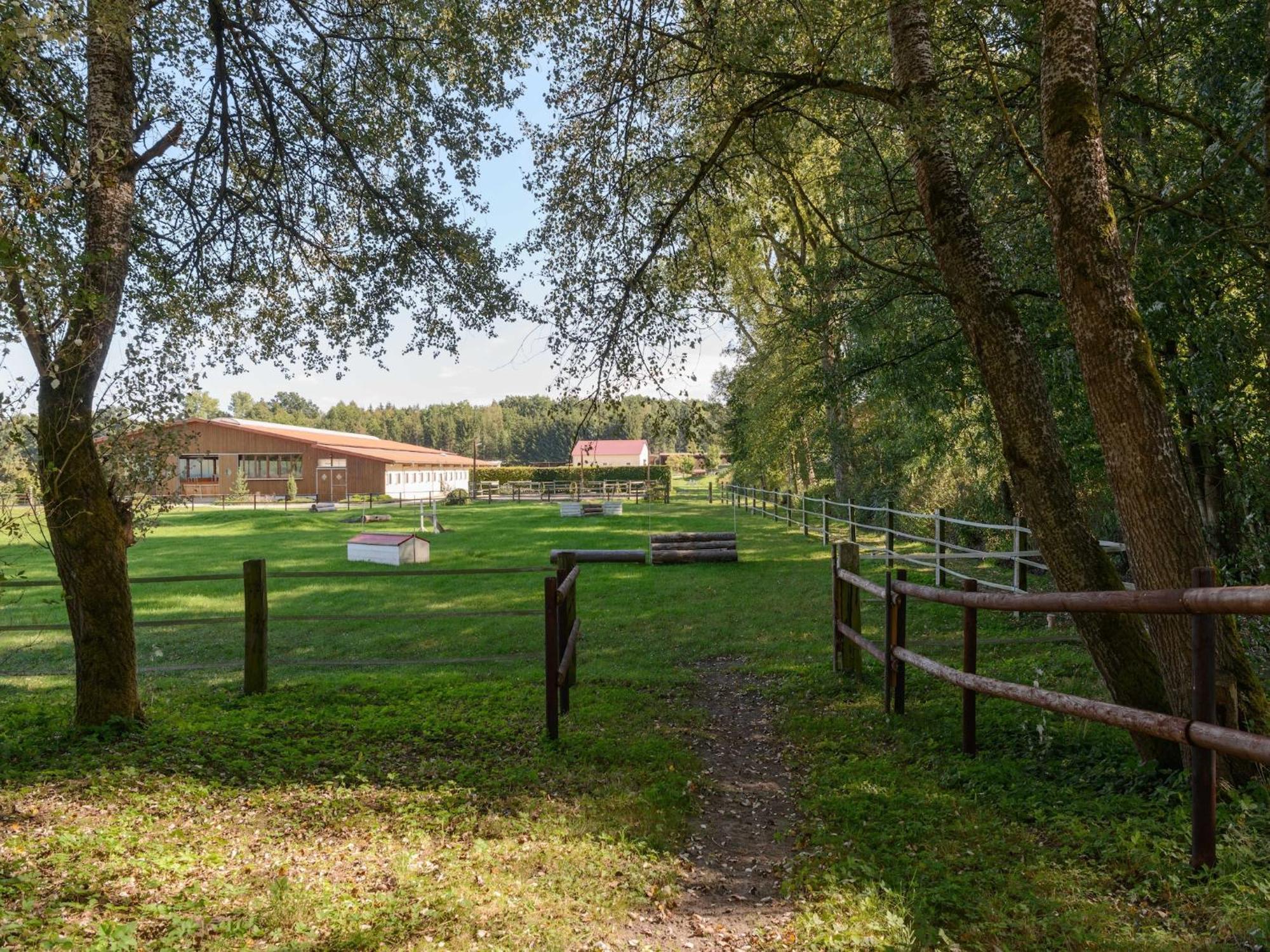 Cozy Holiday Home On A Horse Farm In The L Neburg Heath Eschede Dış mekan fotoğraf