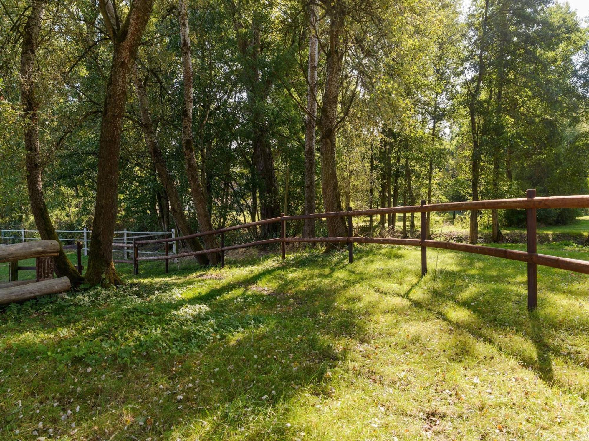 Cozy Holiday Home On A Horse Farm In The L Neburg Heath Eschede Dış mekan fotoğraf