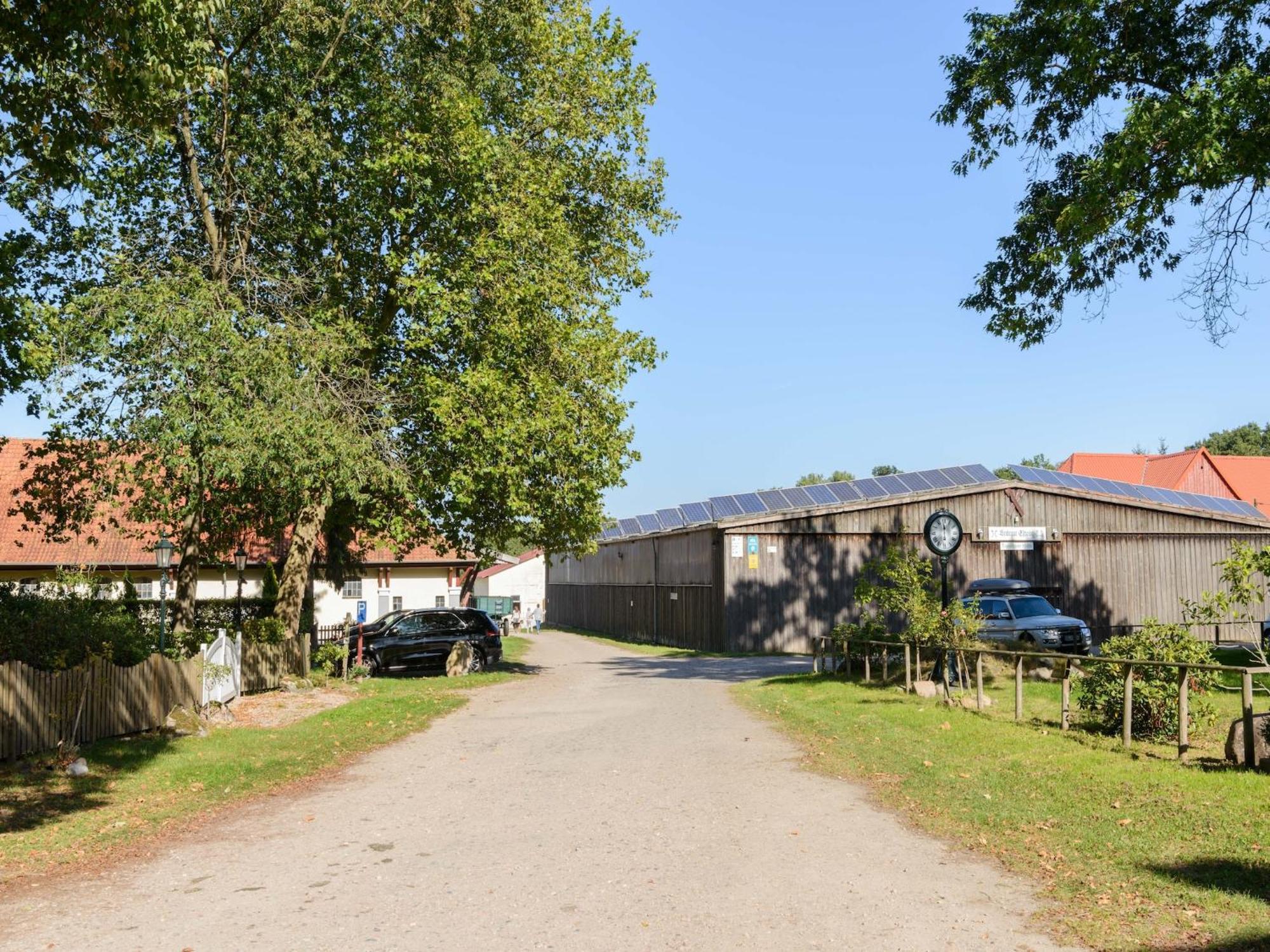 Cozy Holiday Home On A Horse Farm In The L Neburg Heath Eschede Dış mekan fotoğraf