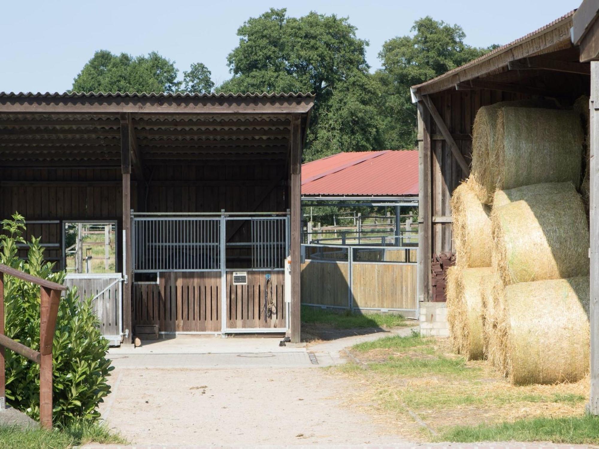 Cozy Holiday Home On A Horse Farm In The L Neburg Heath Eschede Dış mekan fotoğraf
